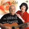 Co Nevidet Se Sejdem - Stanislav Chmelík
