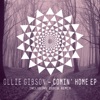 Comin' Home EP Incl. Cubiq Remix - Single