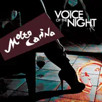 Voice of the Night