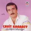 Bitti Saltanatin