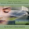 Wind, Rain & Thunderstorm (Deep Sleep Aid) [For Tinnitus, Insomnia, De-Stress, Meditation, Holistic Healing, Relaxation] [90 Minutes] - Sound Dreamer