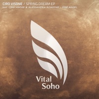 Spring Dream - Single - Ciro Visone & Alessandra Roncone