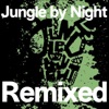 Jungle by Night
