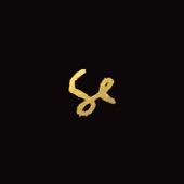 Sylvan Esso artwork