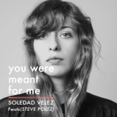 You Were Meant for Me (feat. Steve Poltz) - Single