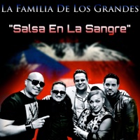 La Familia De Los Grandes - Salsa En La Sangre