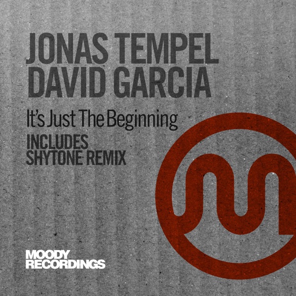 It's Just the Beginning - Single