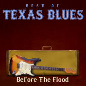 Best of Texas Blues Before the Flood - Varios Artistas