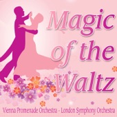 The Count of Luxemburg Waltzes / Der Graf von Luxemburg - Walzer / Le Comte de Luxembourg - Valses artwork