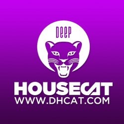 Deep House Cat