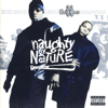 Naughty By Nature - Iicons artwork