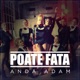 Poate Fata Single