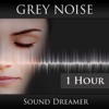 Grey Noise - 1 Hour