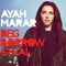 Beg Borrow Steal (DSK CHK Remix) - Ayah Marar lyrics