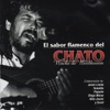 Diego del Morao Celosa El Sabor Flamenco del Chato "Noche de Beethoven" (feat. Tomatito, Javier Limón, Diego Morao, Niño Josele y David)