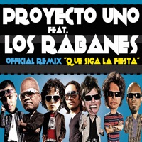 Que Siga La Fiesta (Remix) [feat. Los Rabanes] - Single - Proyecto Uno