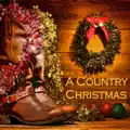 I`ll Make Everyday Christmas (For My Woman)