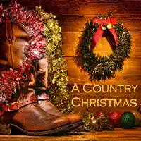 I'll Make Everyday Christmas (For My Woman) — Joe Tex