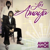 Amor, Amor (feat. Spain) - Los Amaya