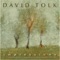 Old North Bridge - David Tolk lyrics