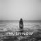 Runnin Thru My Dreams - Sunny Levine lyrics
