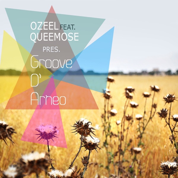 Groove D'Arneo (feat. Queemose)