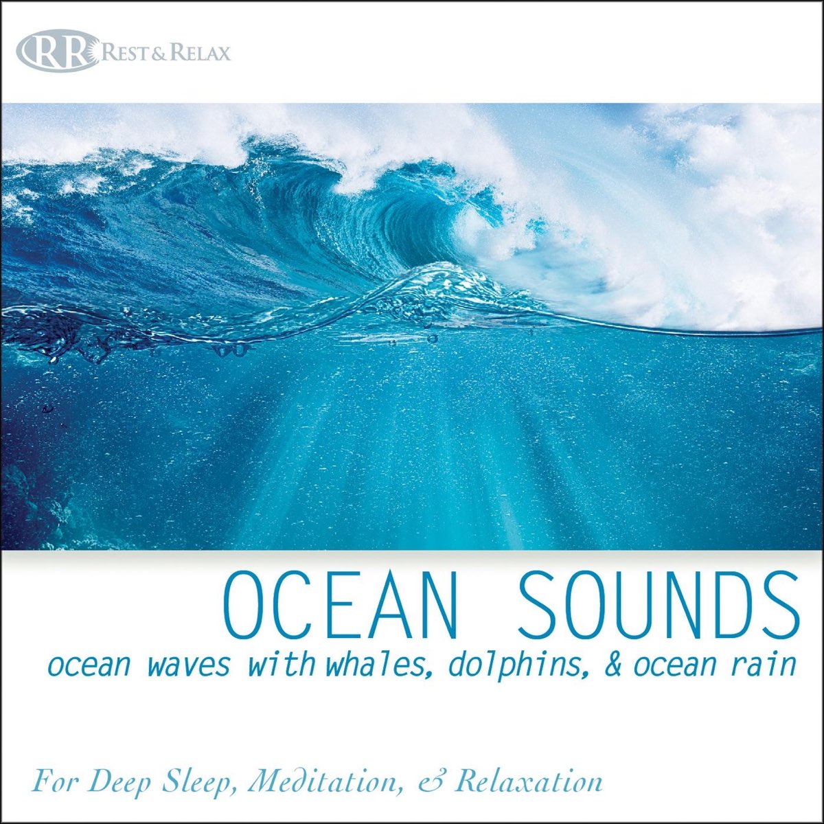 ‎Ocean Sounds: Ocean Waves With Whales, Dolphins, & Ocean Rain, Nature ...