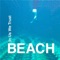 The Debbie Gibson Song - Beach lyrics
