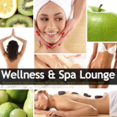 Wellness & Spa Lounge (Relaxing Chill Out Music for Wellness, Meditation, Yoga, Serenity and Natural Stress Relief) - Verschillende artiesten