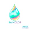 Raindrop Sampler, Vol. 1 - EP
