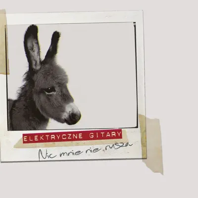 Nic Mnie Nie Rusza - Single - Elektryczne Gitary