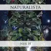 Woodland Mysteries