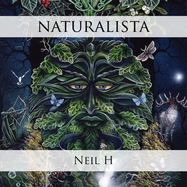 Faeries Moonlight — Neil H