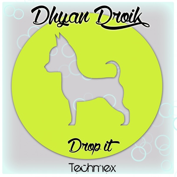 Drop It - Single