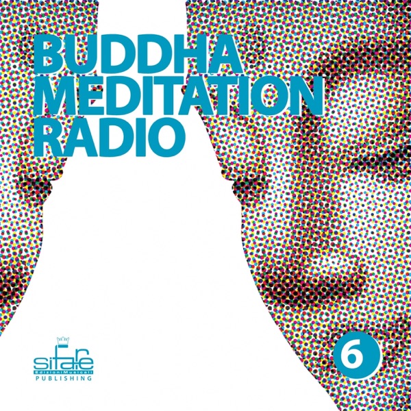 Buddha Meditation Radio, Vol. 6 (Relaxation and Wellness Music)