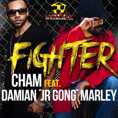 Fighter - Single - Cham