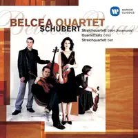 String Quartet No. 13 in A Minor, Op. 29, D. 804 "Rosamunde": II. Andante — Belcea Quartet