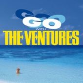 The Ventures - Spudnik (Surf Rider)