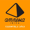 Amnesia Ibiza Essentials 2013 (Selected and Mixed by Les Schmitz, Caal Smile and Mar-T) - Various Artists