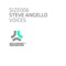 Voices (Eric Prydz Remix) - Steve Angello lyrics