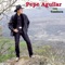 Serenata Con la Banda - Pepe Aguilar lyrics