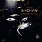 Yaar (feat. Golshifteh Farahni & Didier Malherbe) - Steve Shehan lyrics