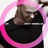 Don't Wanna Lie - Single