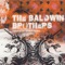 The Party's Over (feat. Mark Lanegan) - The Baldwin Brothers lyrics