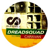 Caravan (Radikal Guru Dubstep RMX) artwork