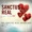 We Need Each Other - Sanctus Real