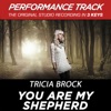 You Are My Shepherd (Performance Tracks) - EP, 2012