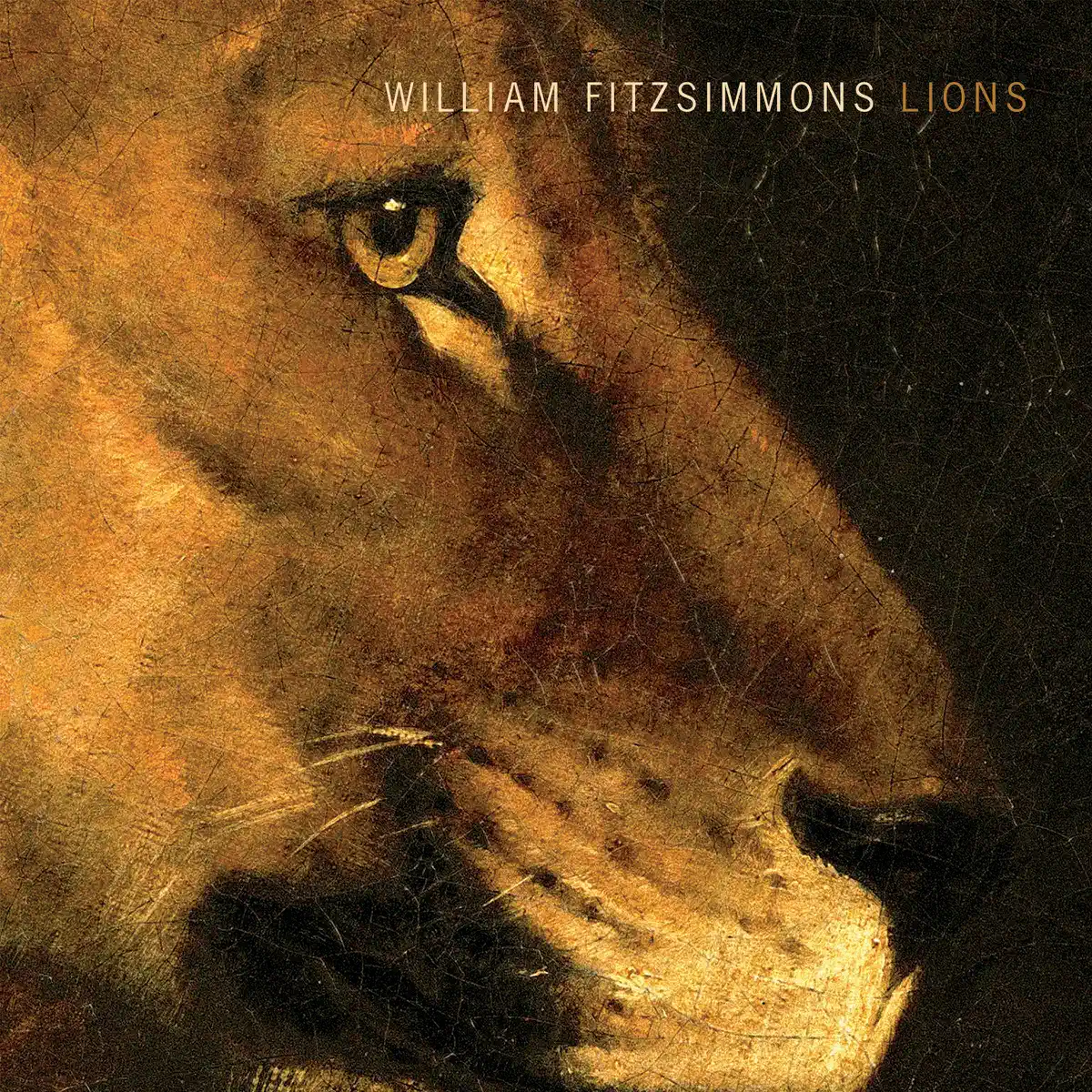 William Fitzsimmons - Lions (2014) [iTunes Plus AAC M4A]-新房子