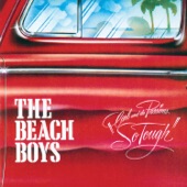 The Beach Boys - Hold On Dear Brother