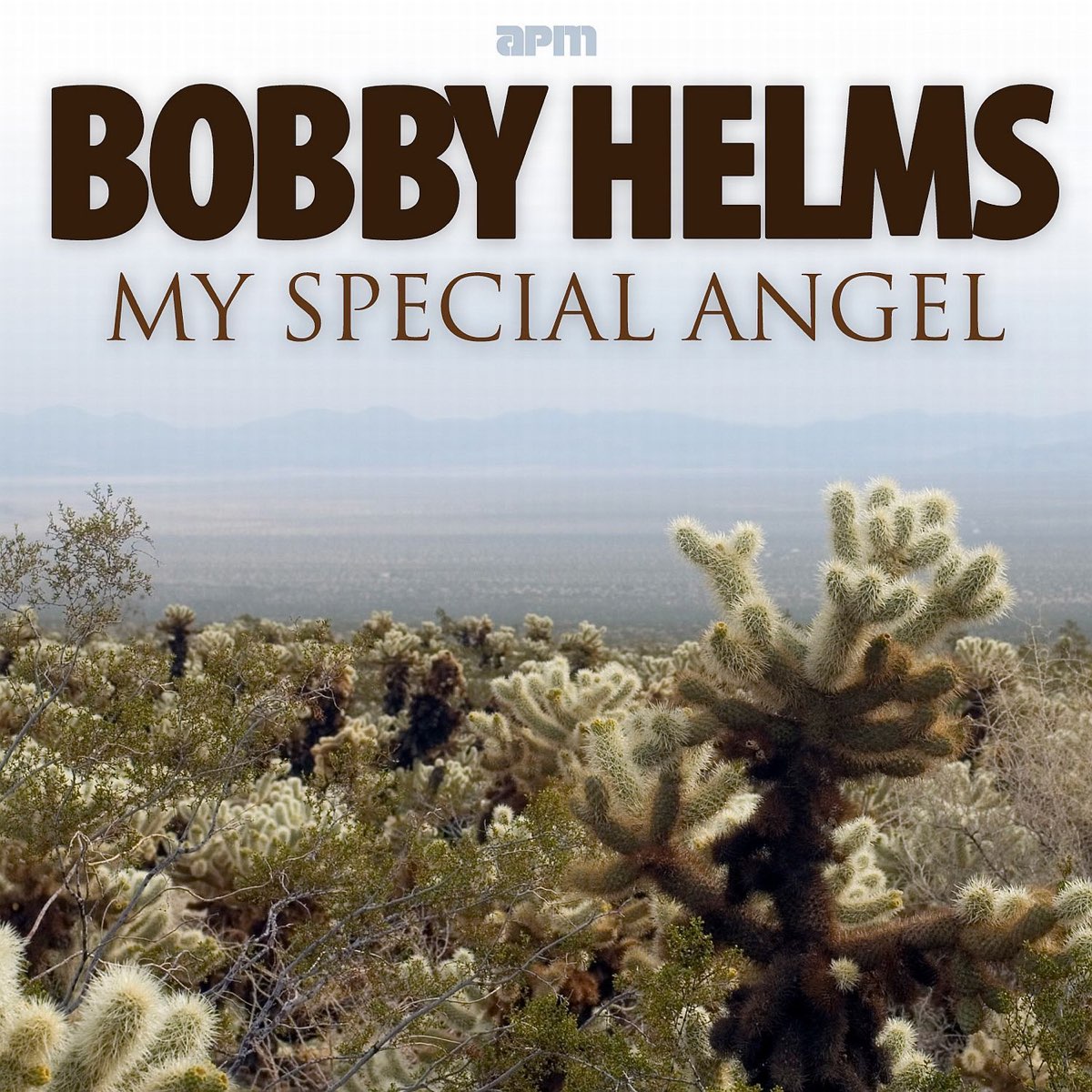 Bobby helms my special angel lyrics